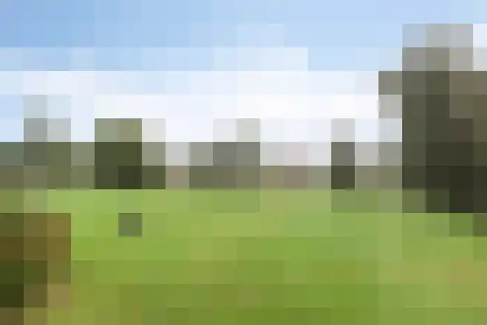 Roomsterweg 8 Leek thumbnail 8