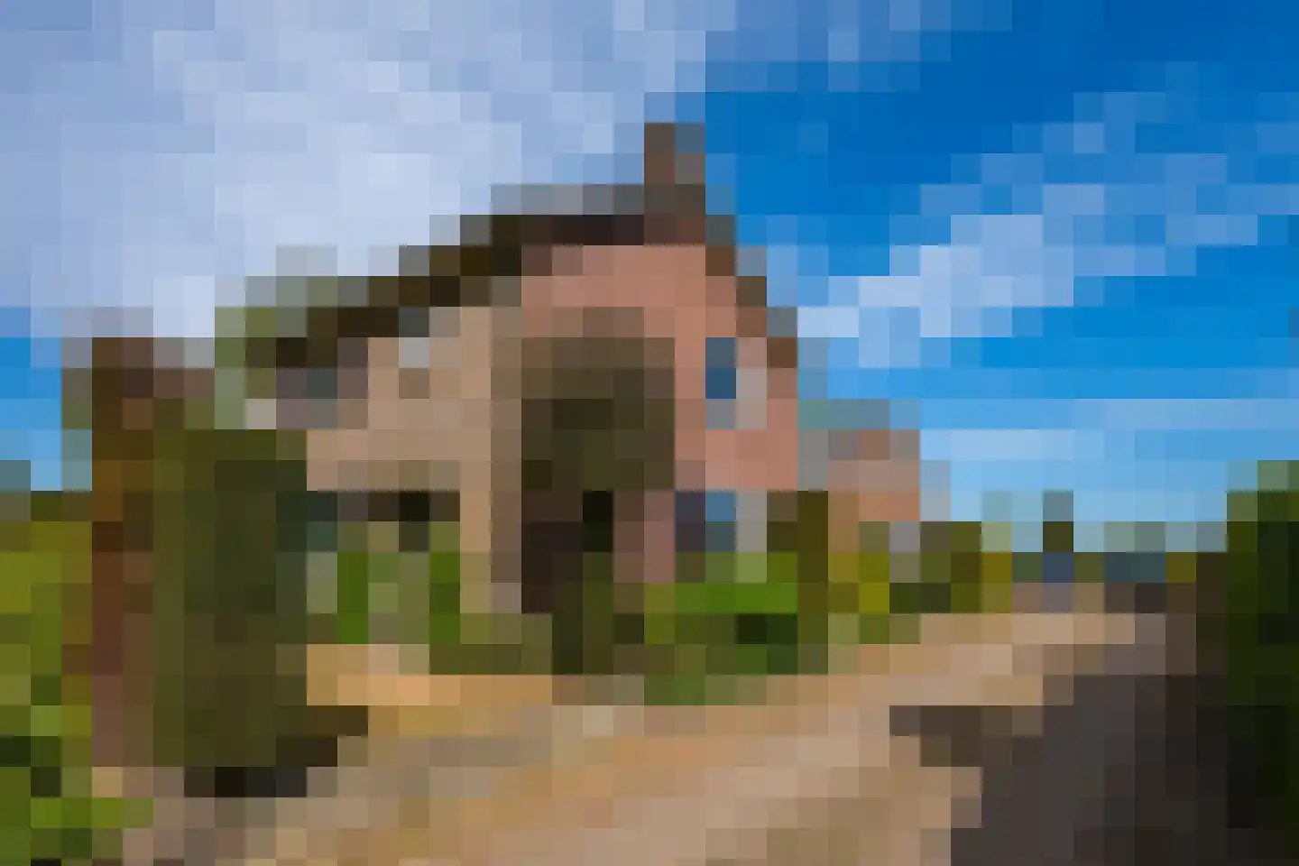 Roomstraat 21 Drempt thumbnail 10