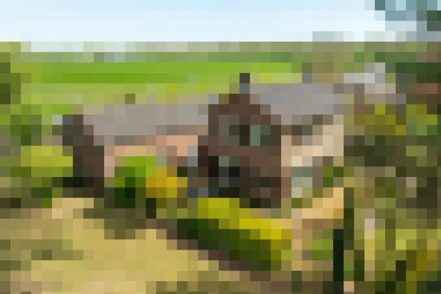 Roomstraat 21 Drempt thumbnail 11
