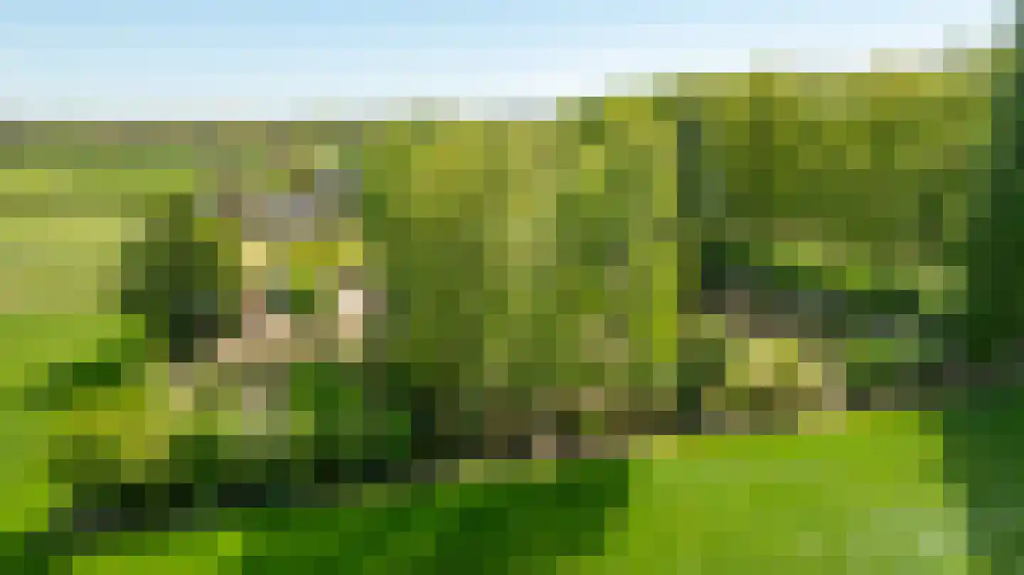 Roomstraat 21 Drempt thumbnail 12