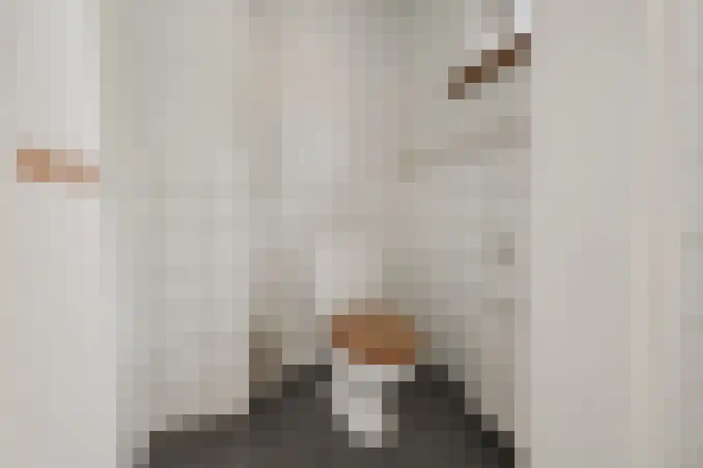 Roomstraat 21 Drempt thumbnail 27