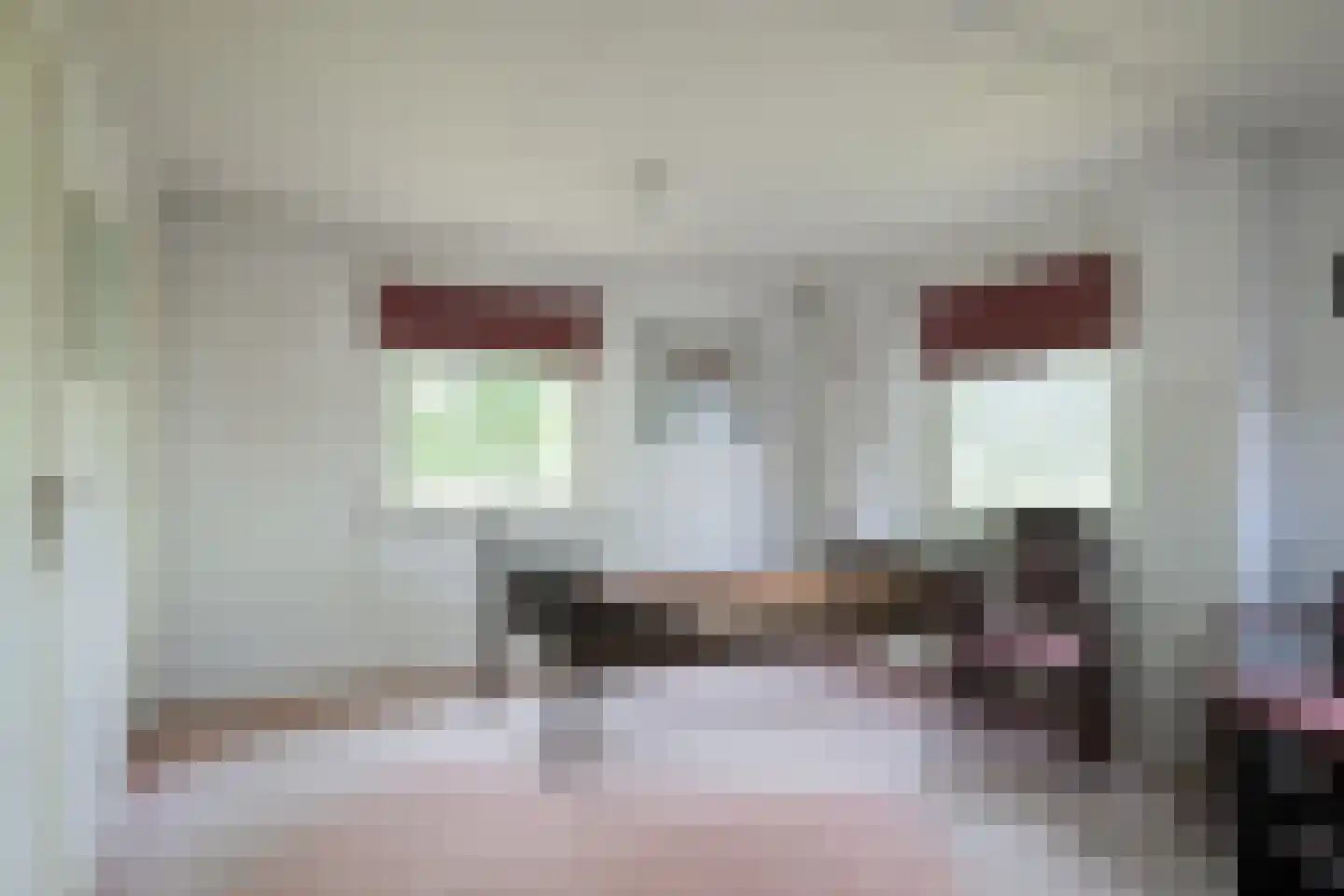 Roomstraat 21 Drempt thumbnail 28