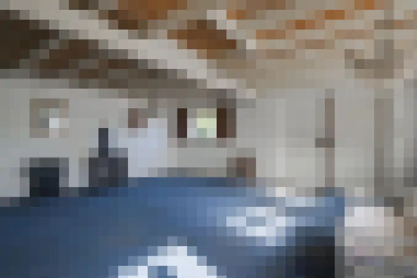 Roomstraat 21 Drempt thumbnail 38