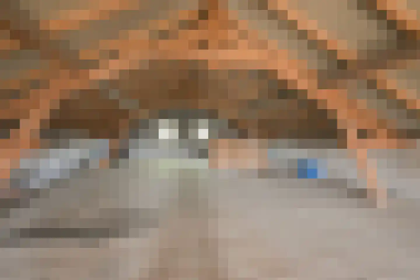 Roomstraat 21 Drempt thumbnail 44