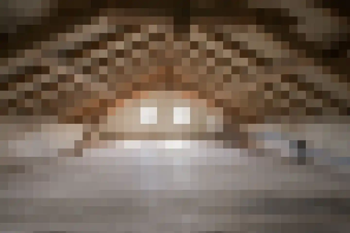 Roomstraat 21 Drempt thumbnail 45