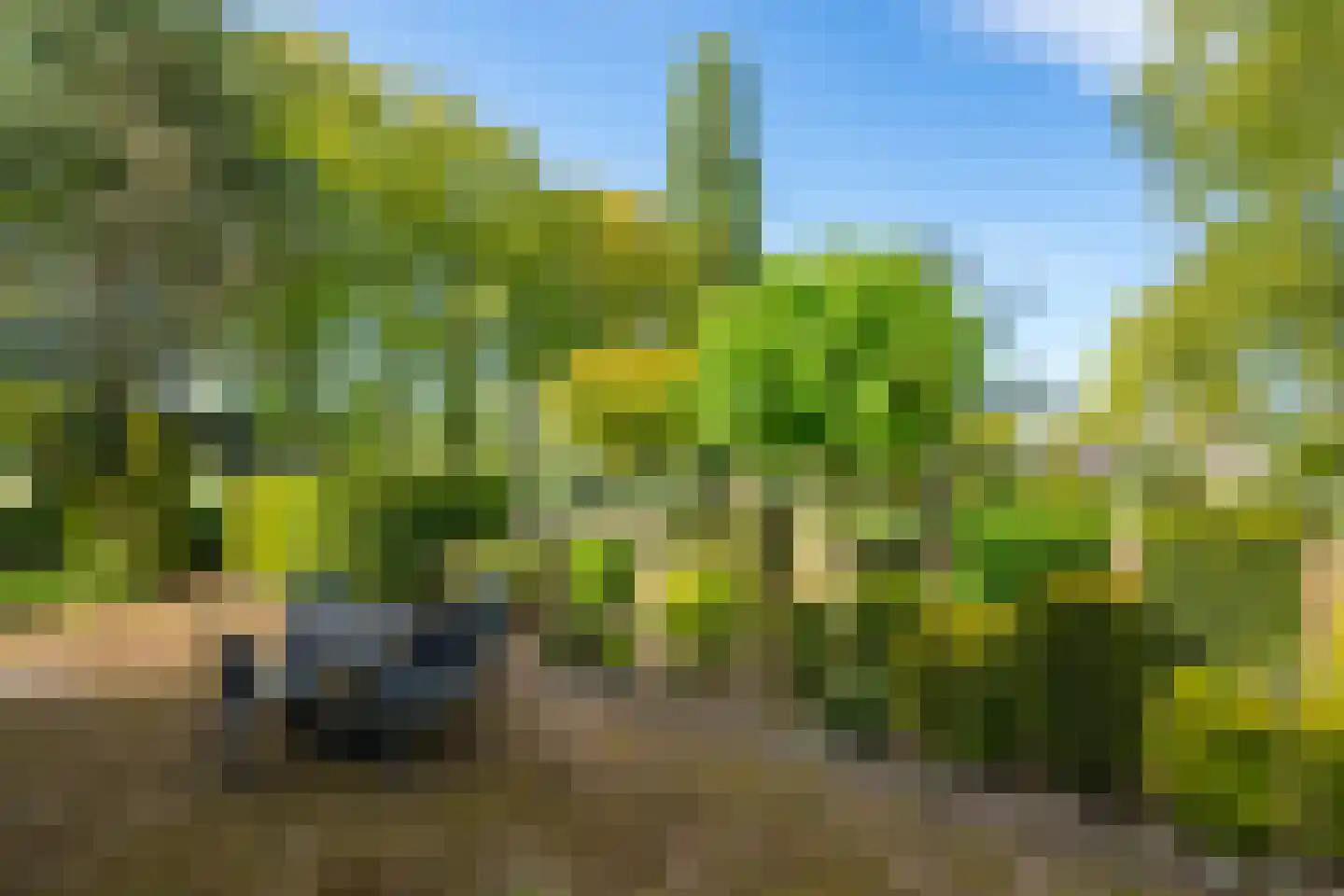 Roomstraat 21 Drempt thumbnail 48