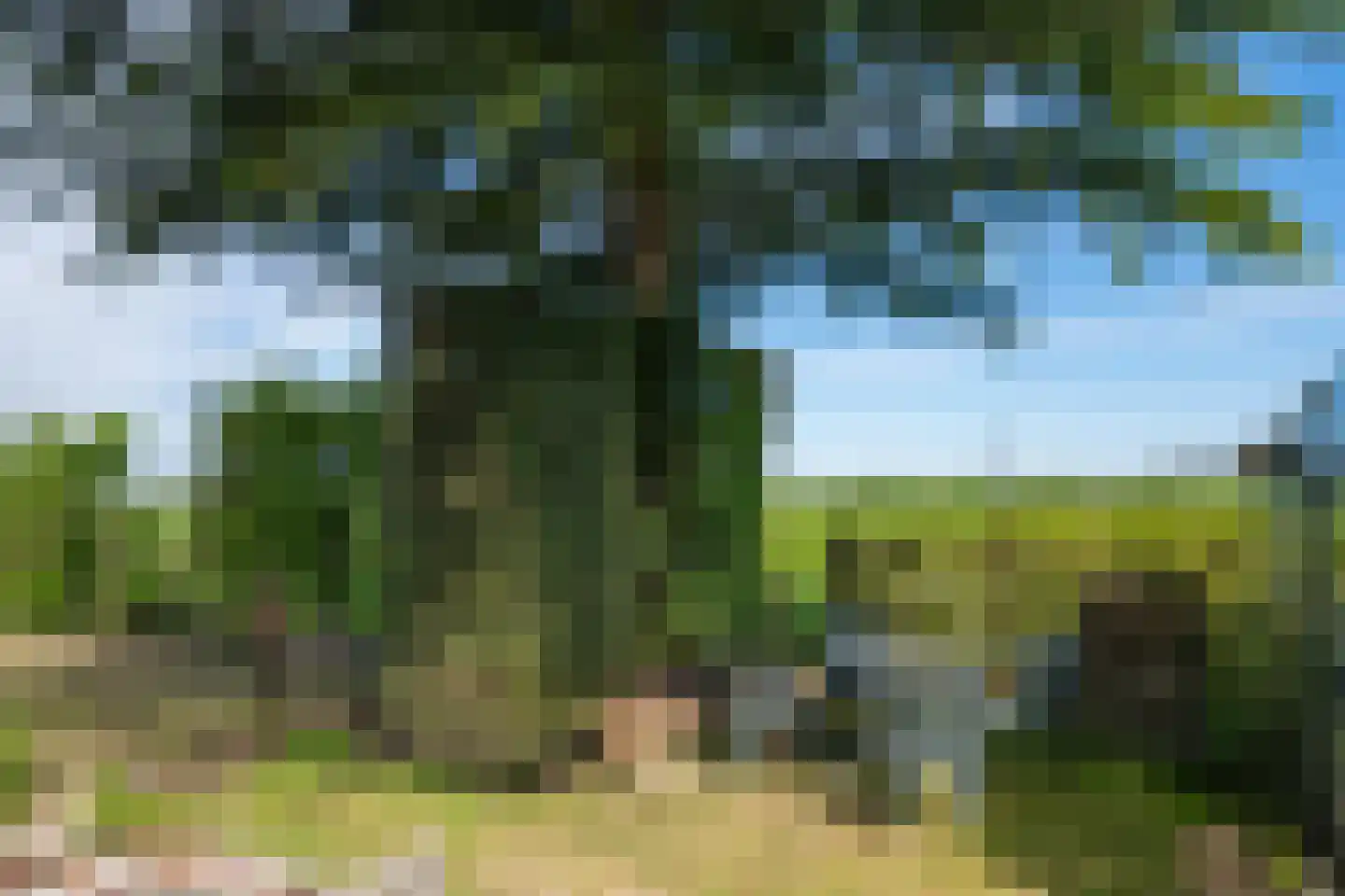 Roomstraat 21 Drempt thumbnail 49