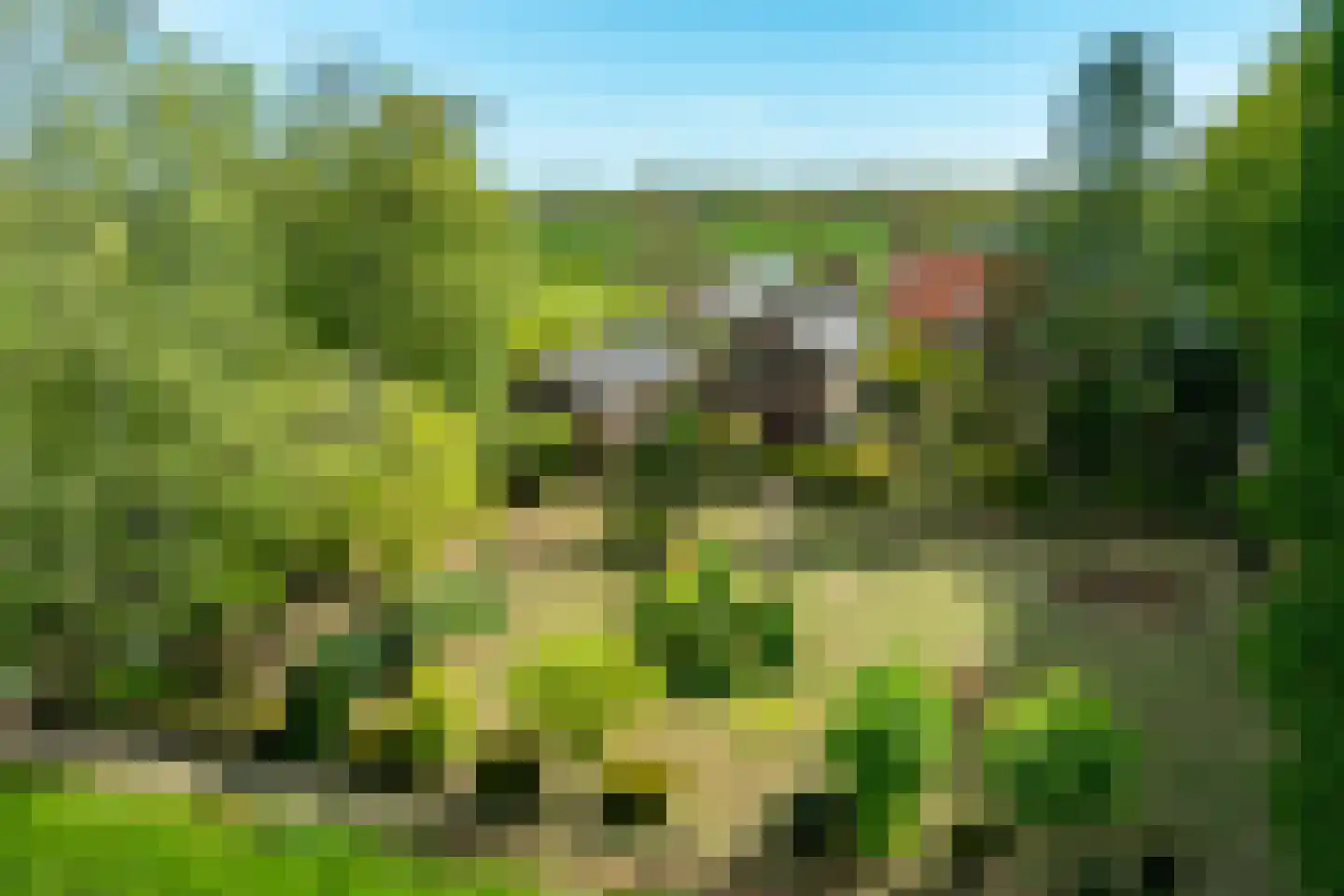 Roomstraat 21 Drempt thumbnail 5