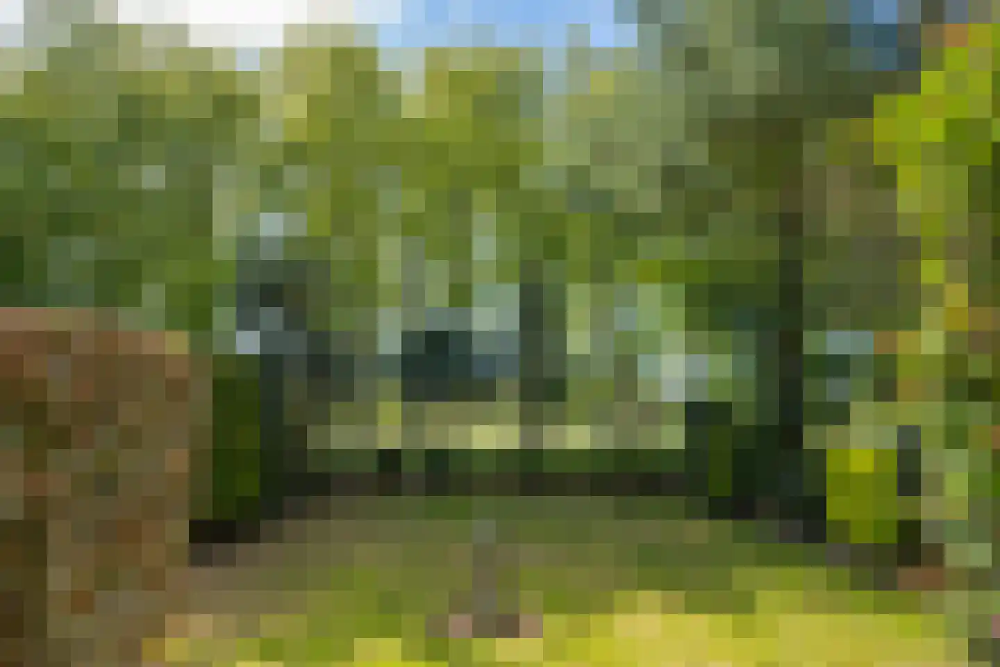 Roomstraat 21 Drempt thumbnail 52