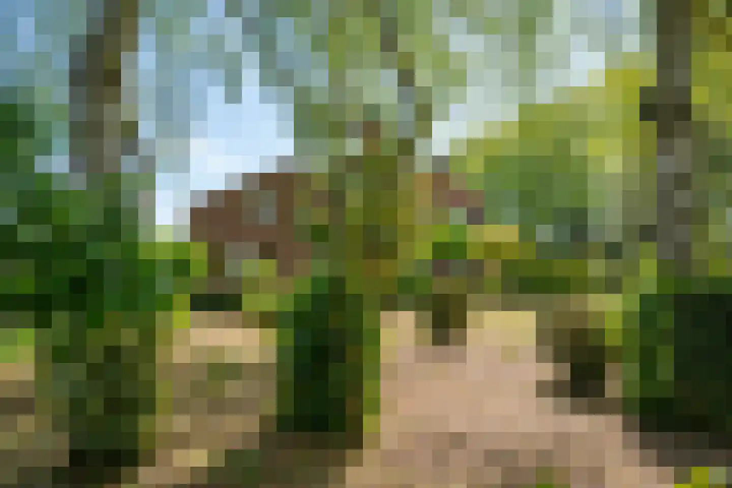 Roomstraat 21 Drempt thumbnail 54