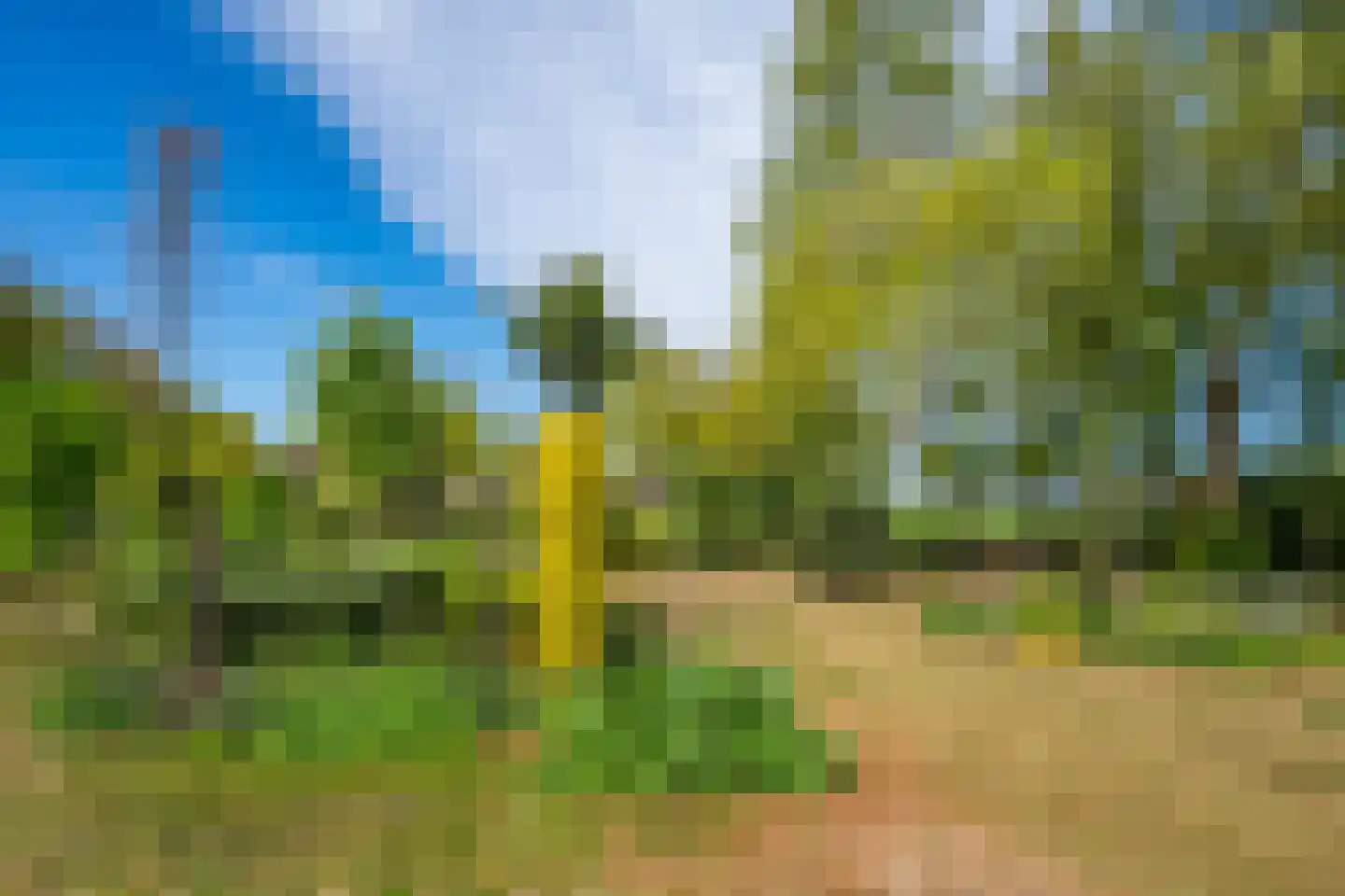 Roomstraat 21 Drempt thumbnail 57