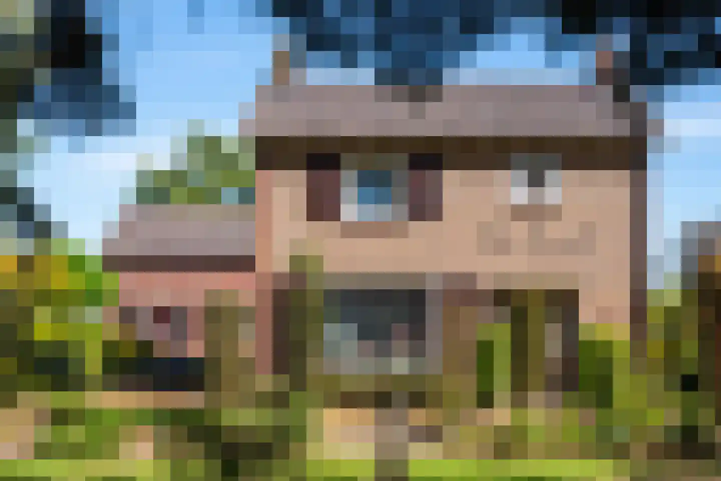 Roomstraat 21 Drempt thumbnail 7