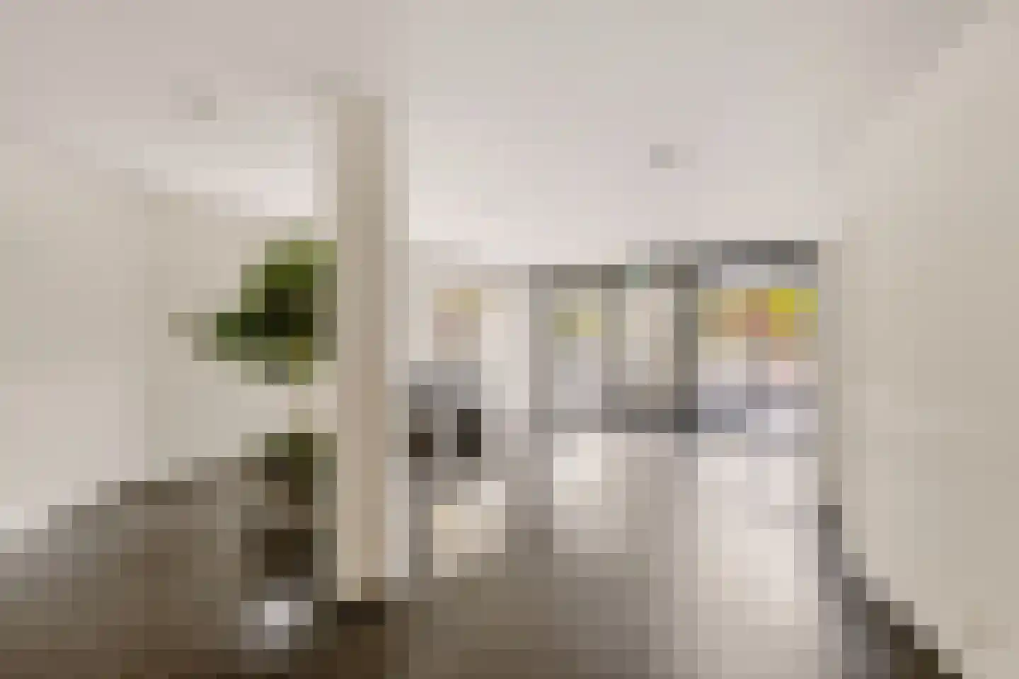 Roomweg 170 21 Enschede thumbnail 35