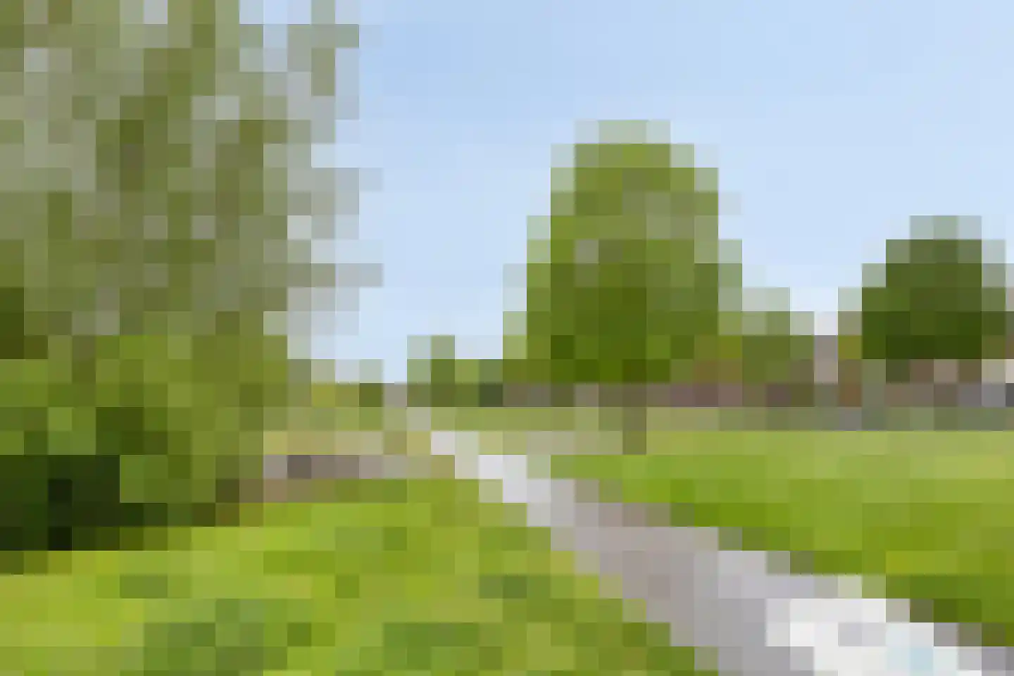 Roomweg 170 50 Enschede thumbnail 36