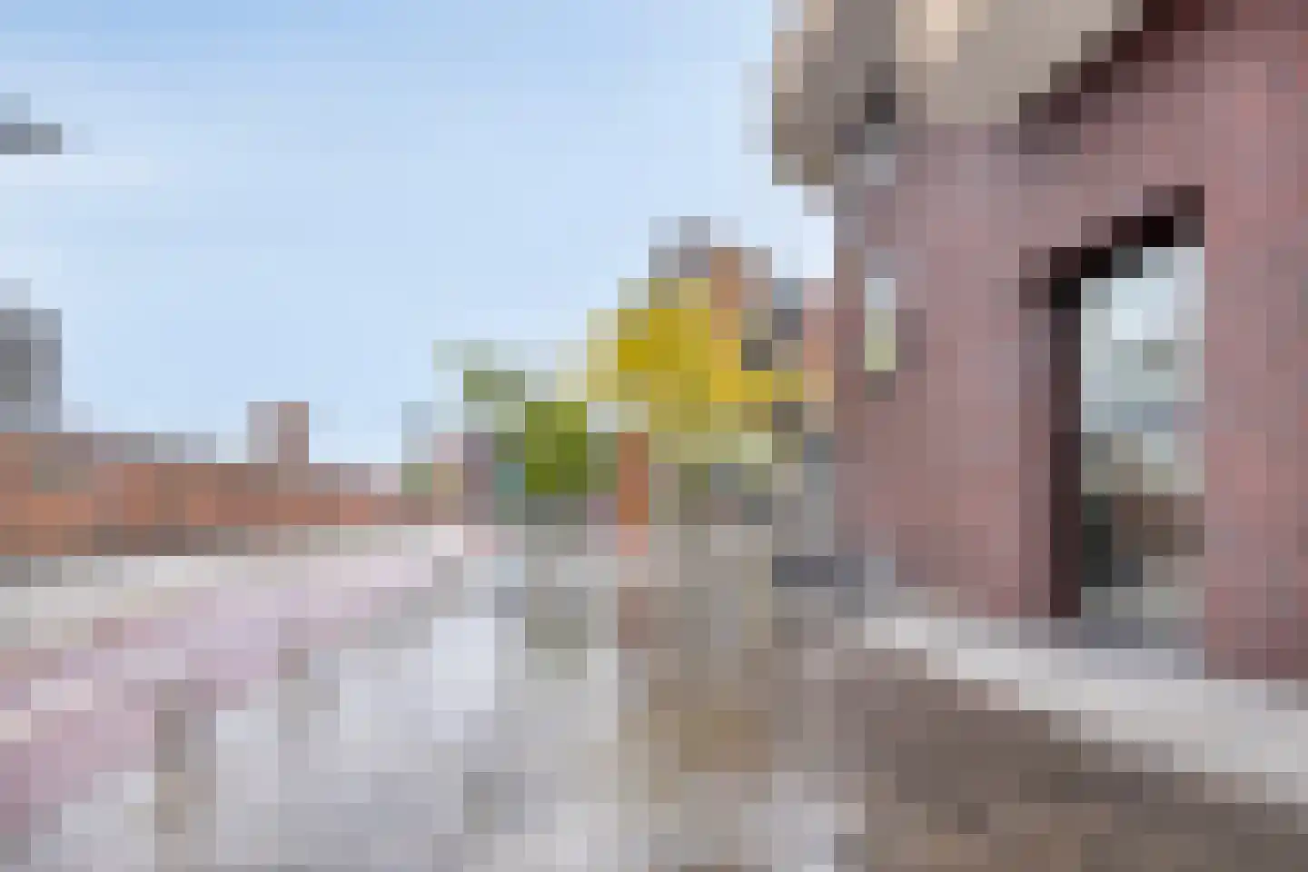 Roomweg 170 50 Enschede thumbnail 38