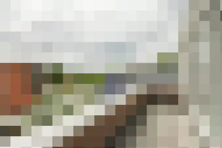 Roomweg 200 Enschede thumbnail 30