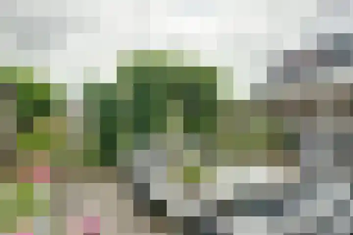 Roomweg 200 Enschede thumbnail 32