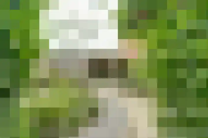 Roomweg 200 Enschede thumbnail 33