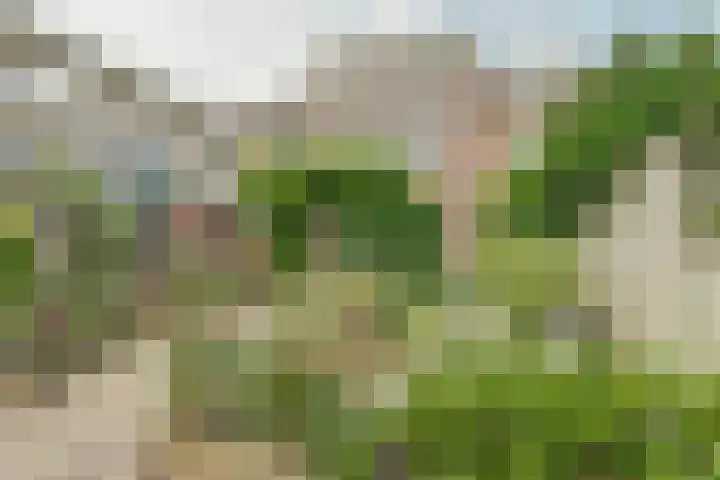 Roomweg 200 Enschede thumbnail 34
