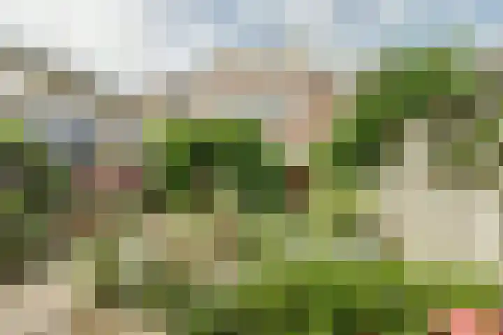Roomweg 200 Enschede thumbnail 38
