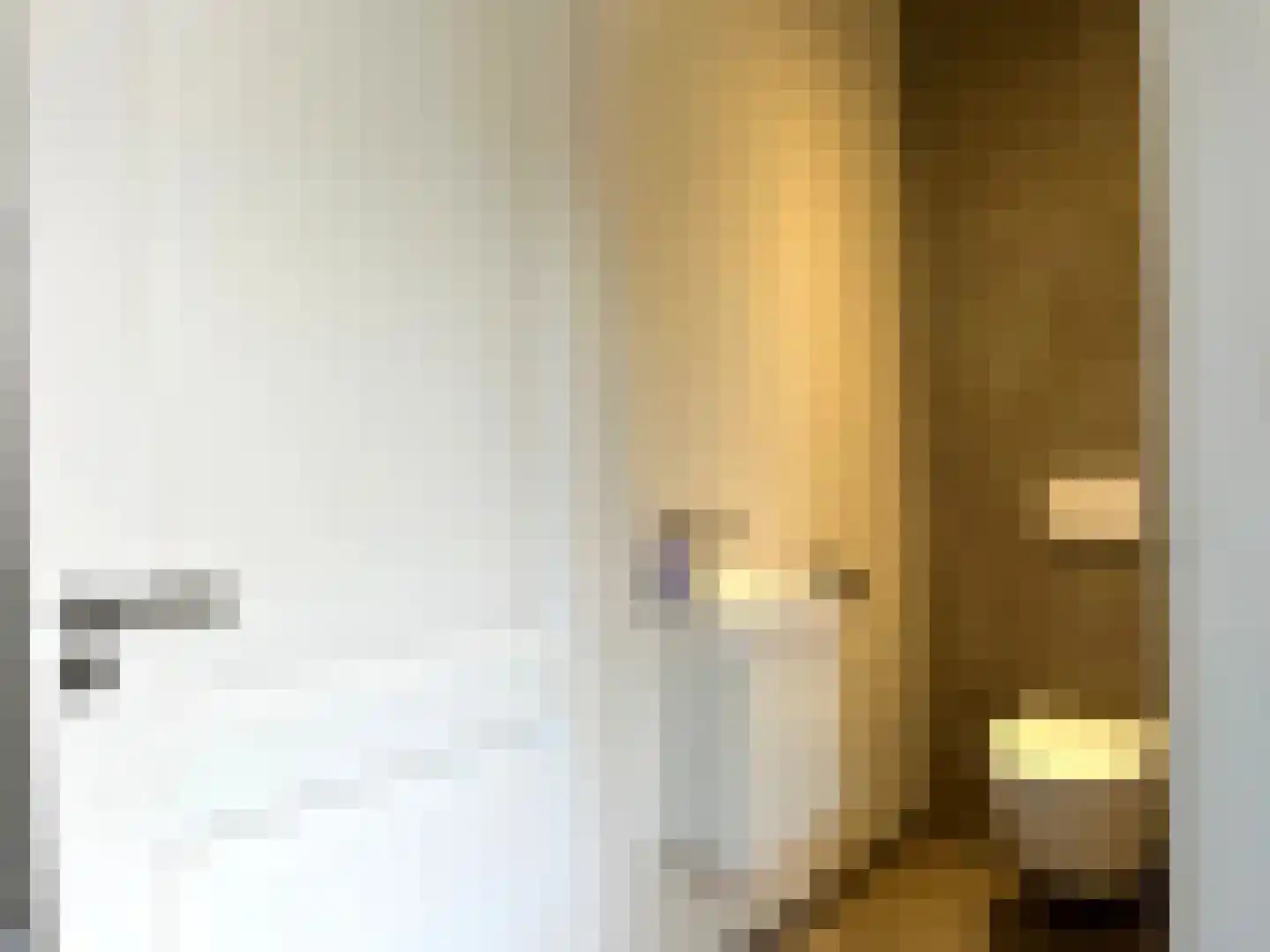 Roomweg 46 A Grashoek thumbnail 12
