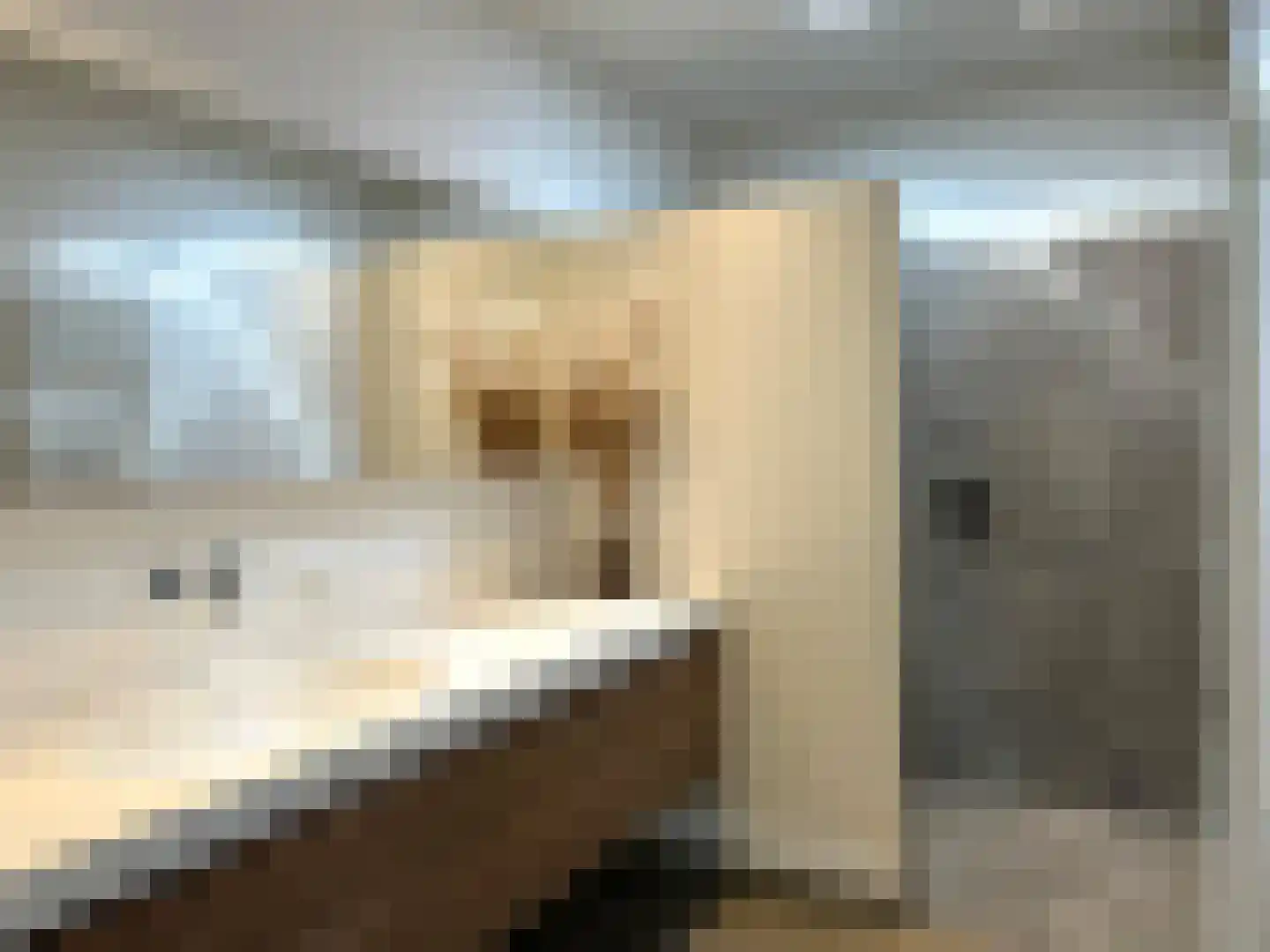 Roomweg 46 A Grashoek thumbnail 15