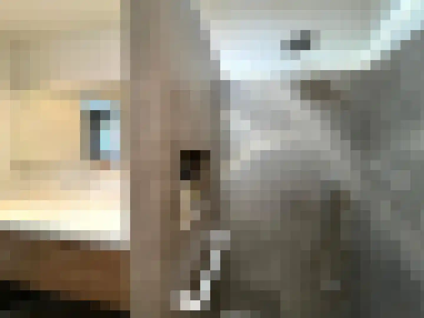 Roomweg 46 A Grashoek thumbnail 16