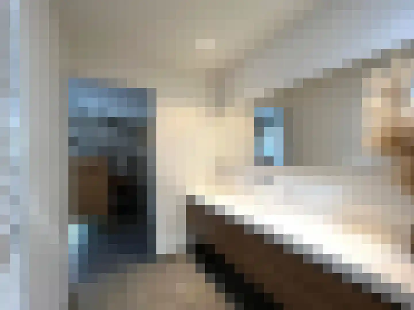 Roomweg 46 A Grashoek thumbnail 17