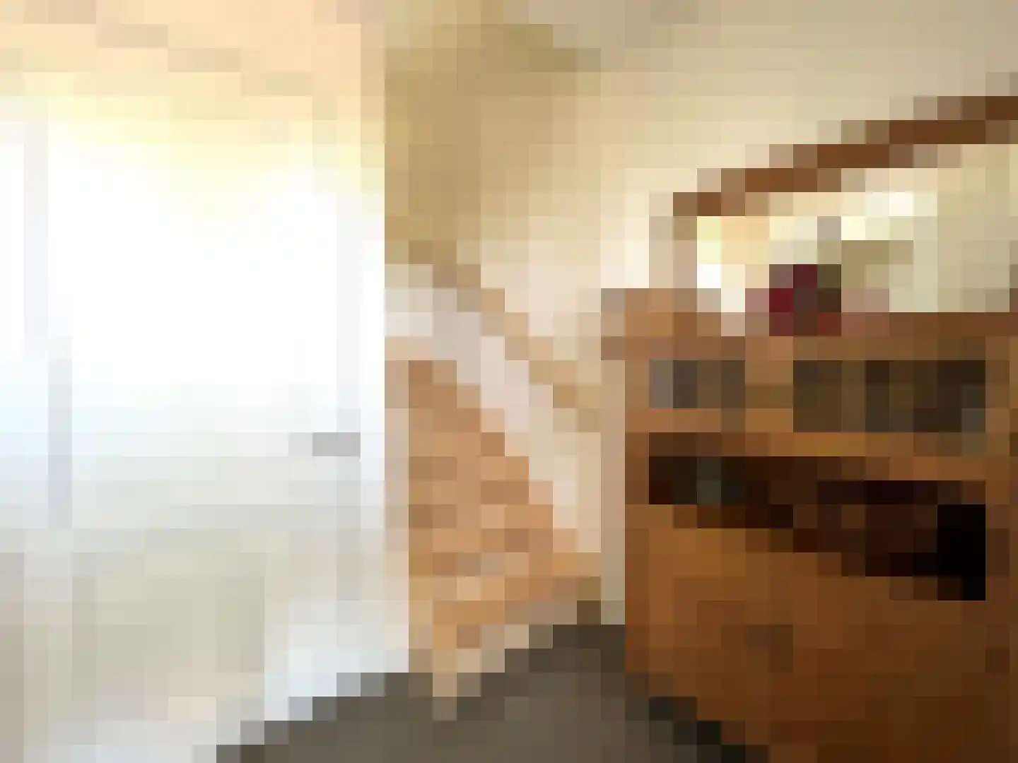 Roomweg 46 A Grashoek thumbnail 18