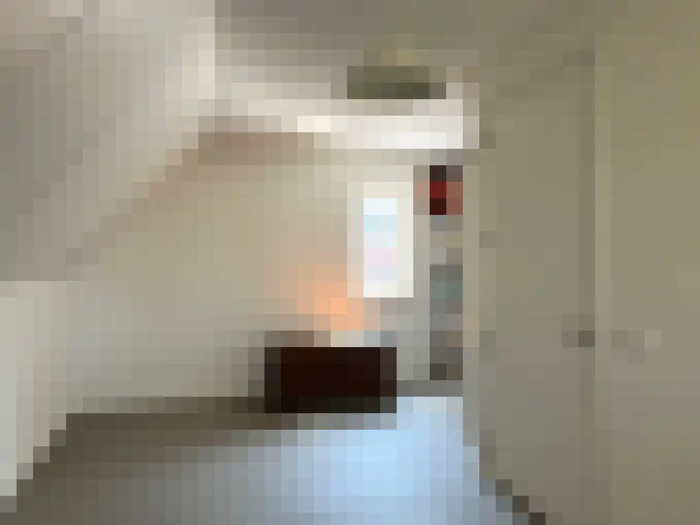 Roomweg 46 A Grashoek thumbnail 20