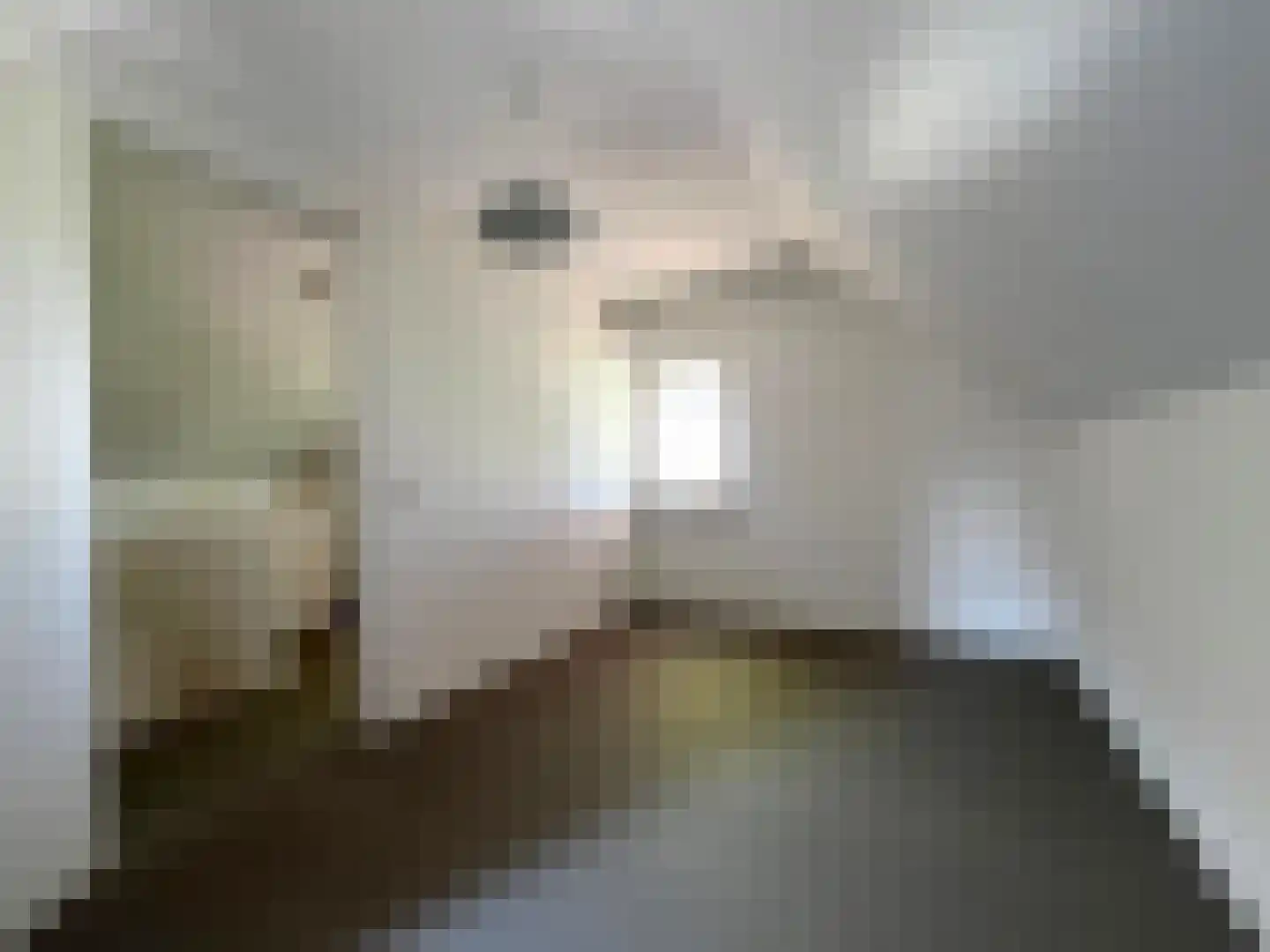 Roomweg 46 A Grashoek thumbnail 22