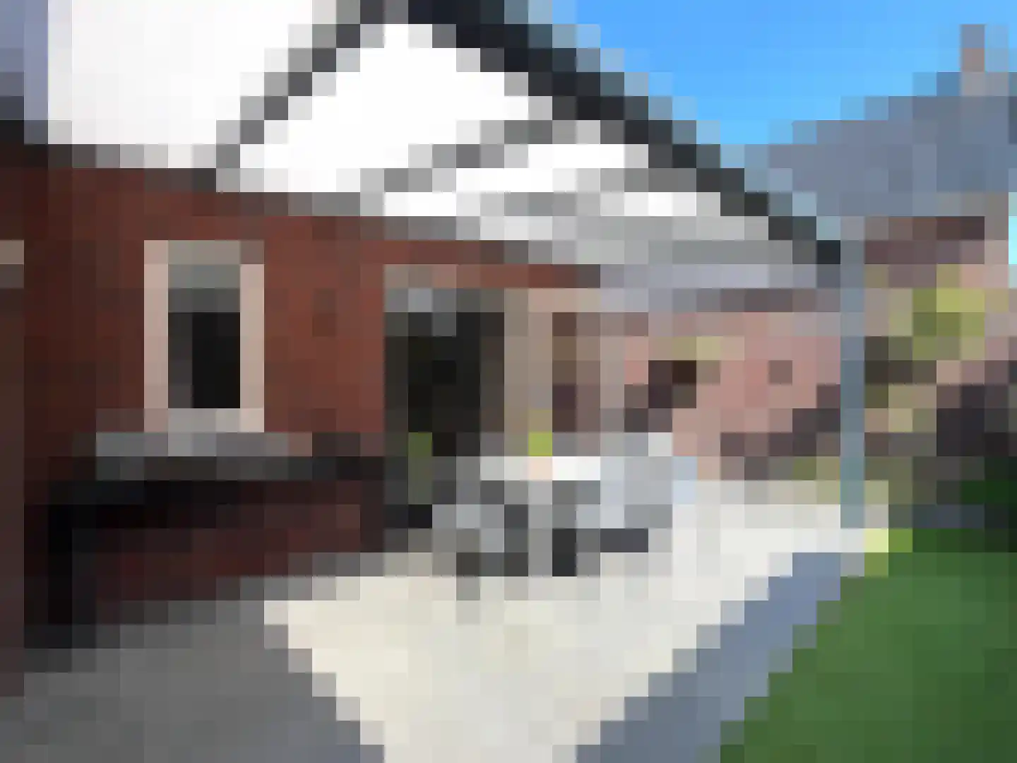 Roomweg 46 A Grashoek thumbnail 25