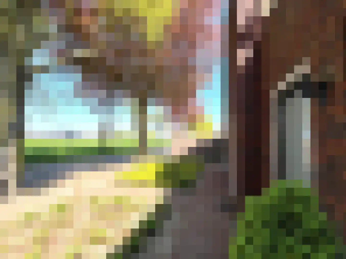 Roomweg 46 A Grashoek thumbnail 26
