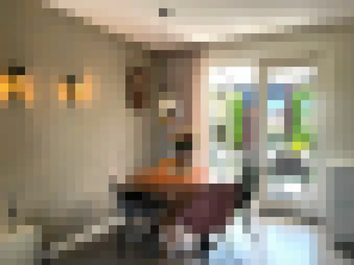Roomweg 46 A Grashoek thumbnail 6