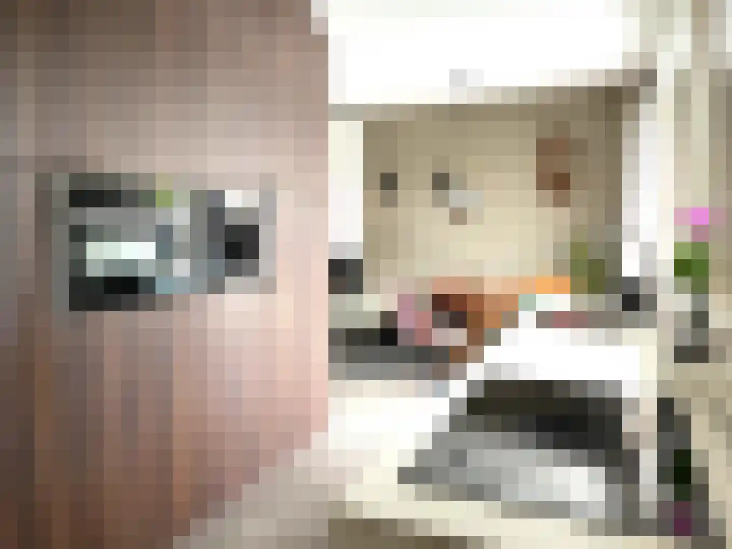 Roomweg 46 A Grashoek thumbnail 8