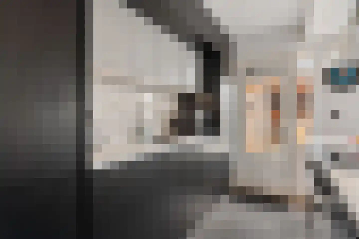 Roomwit 22 Zoetermeer thumbnail 17