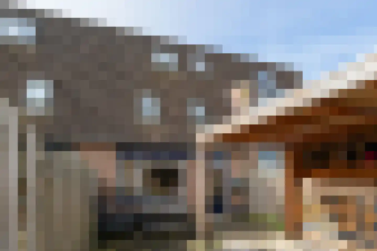 Roomwit 22 Zoetermeer thumbnail 20