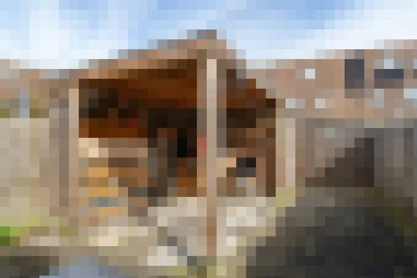 Roomwit 22 Zoetermeer thumbnail 24