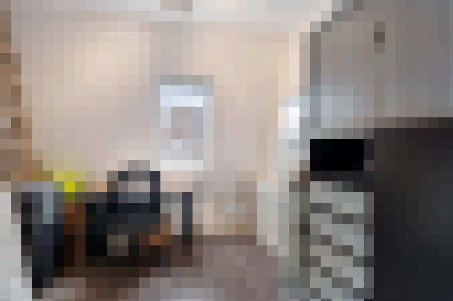 Roomwit 22 Zoetermeer thumbnail 34