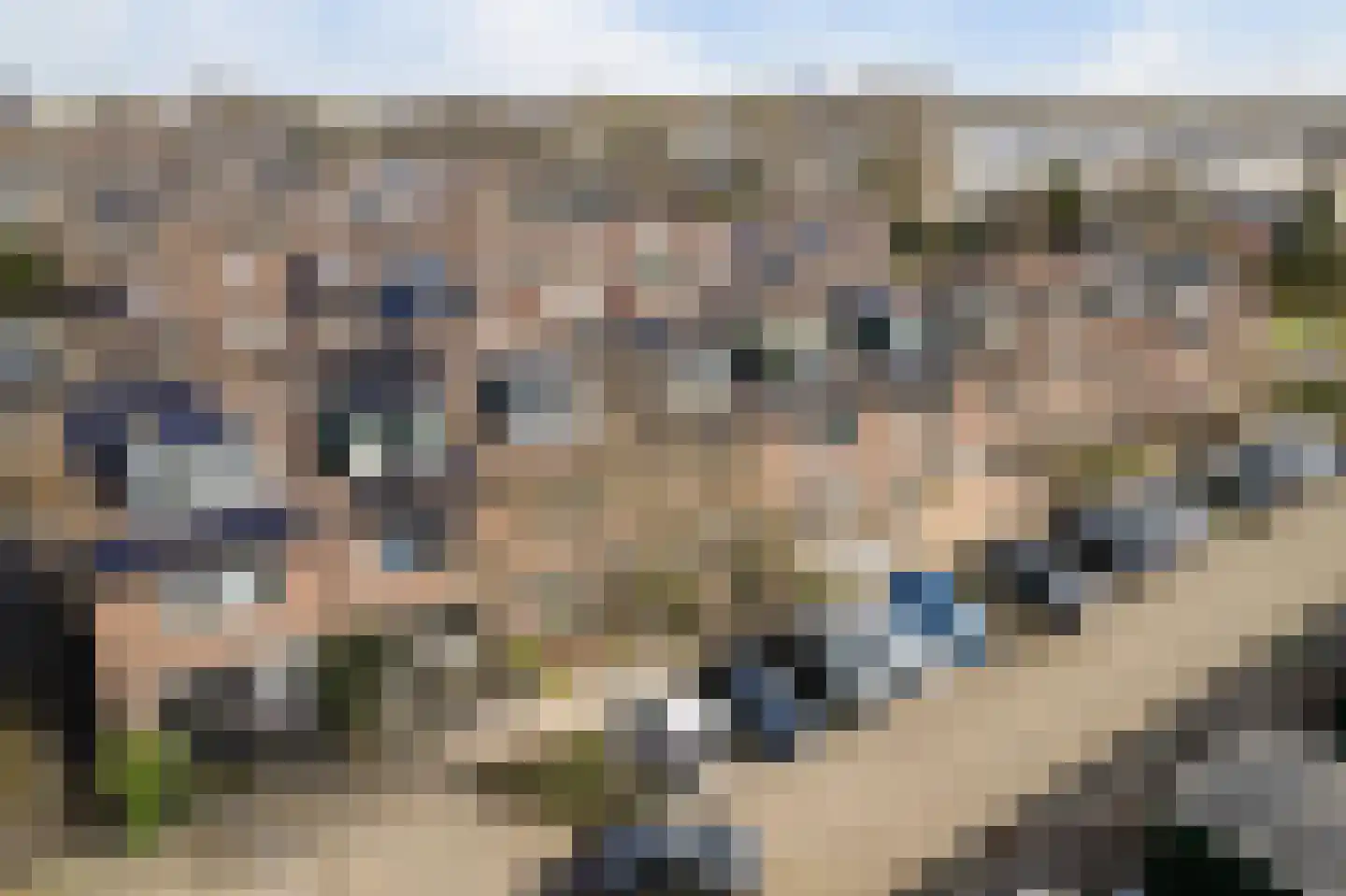 Roomwit 22 Zoetermeer thumbnail 5