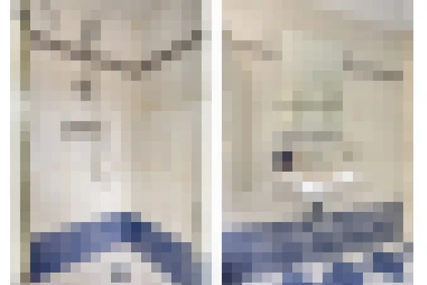 Roomwit 27 Zoetermeer thumbnail 19