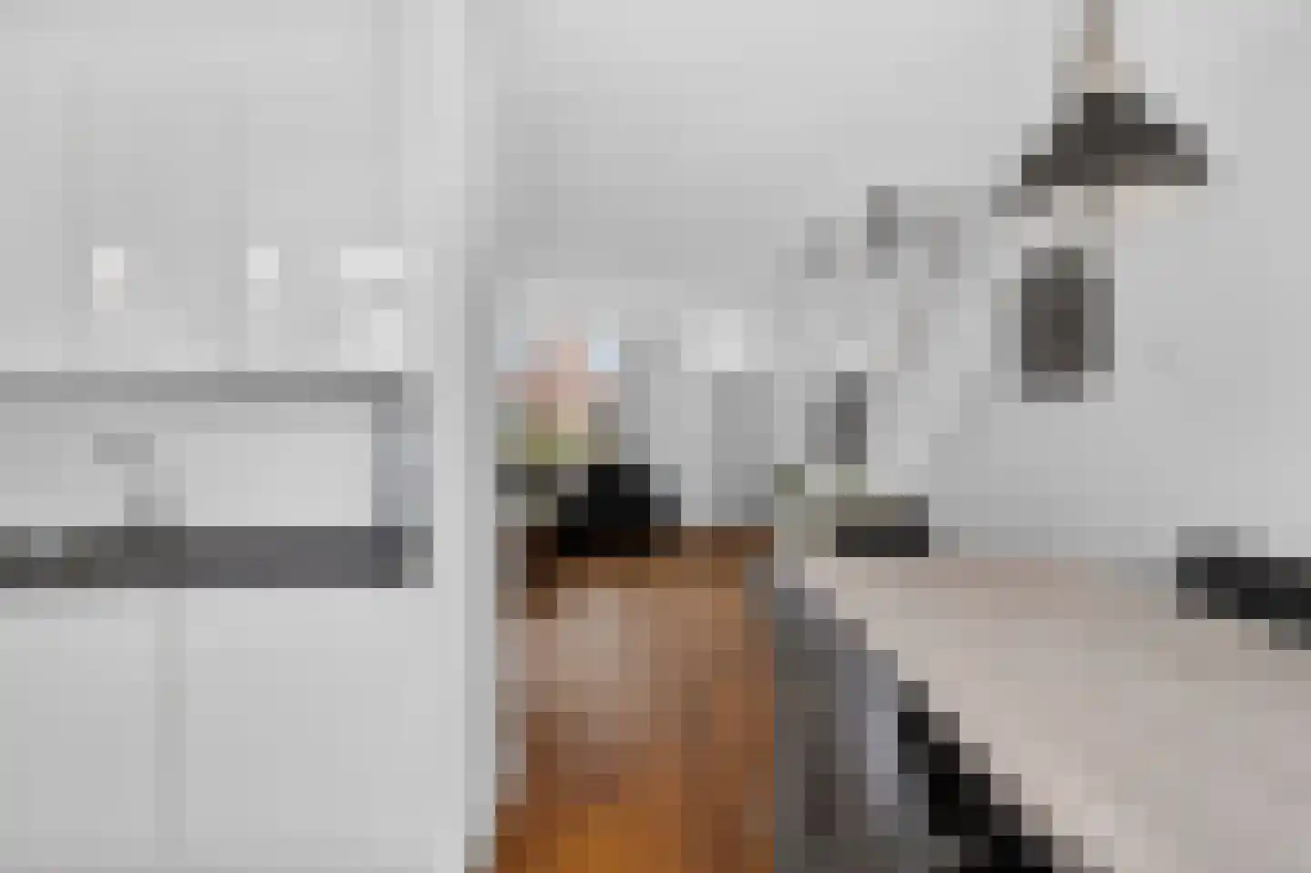 Roopkoper 1 Landsmeer thumbnail 10