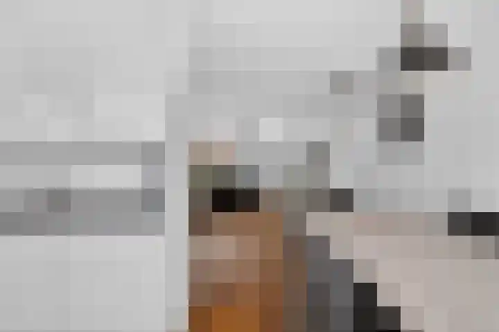 Roopkoper 1 Landsmeer thumbnail 10