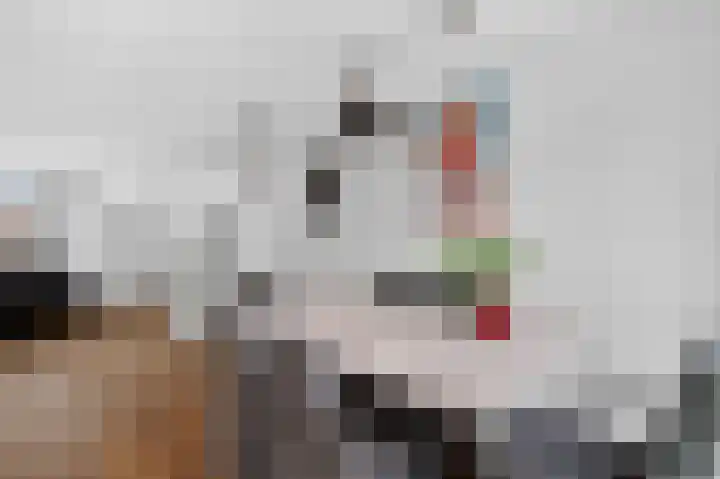 Roopkoper 1 Landsmeer thumbnail 12