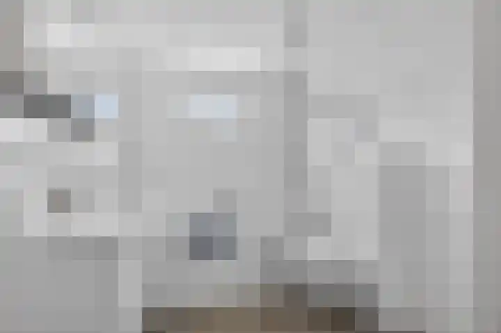 Roopkoper 1 Landsmeer thumbnail 18