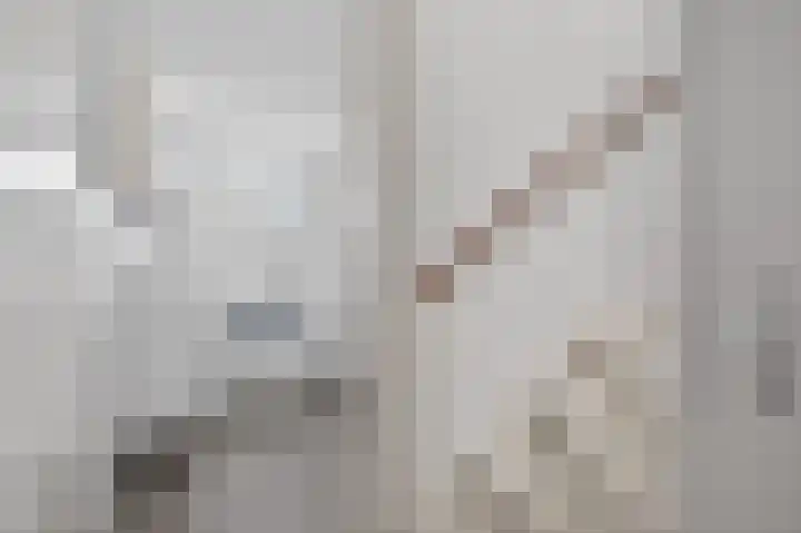 Roopkoper 1 Landsmeer thumbnail 21