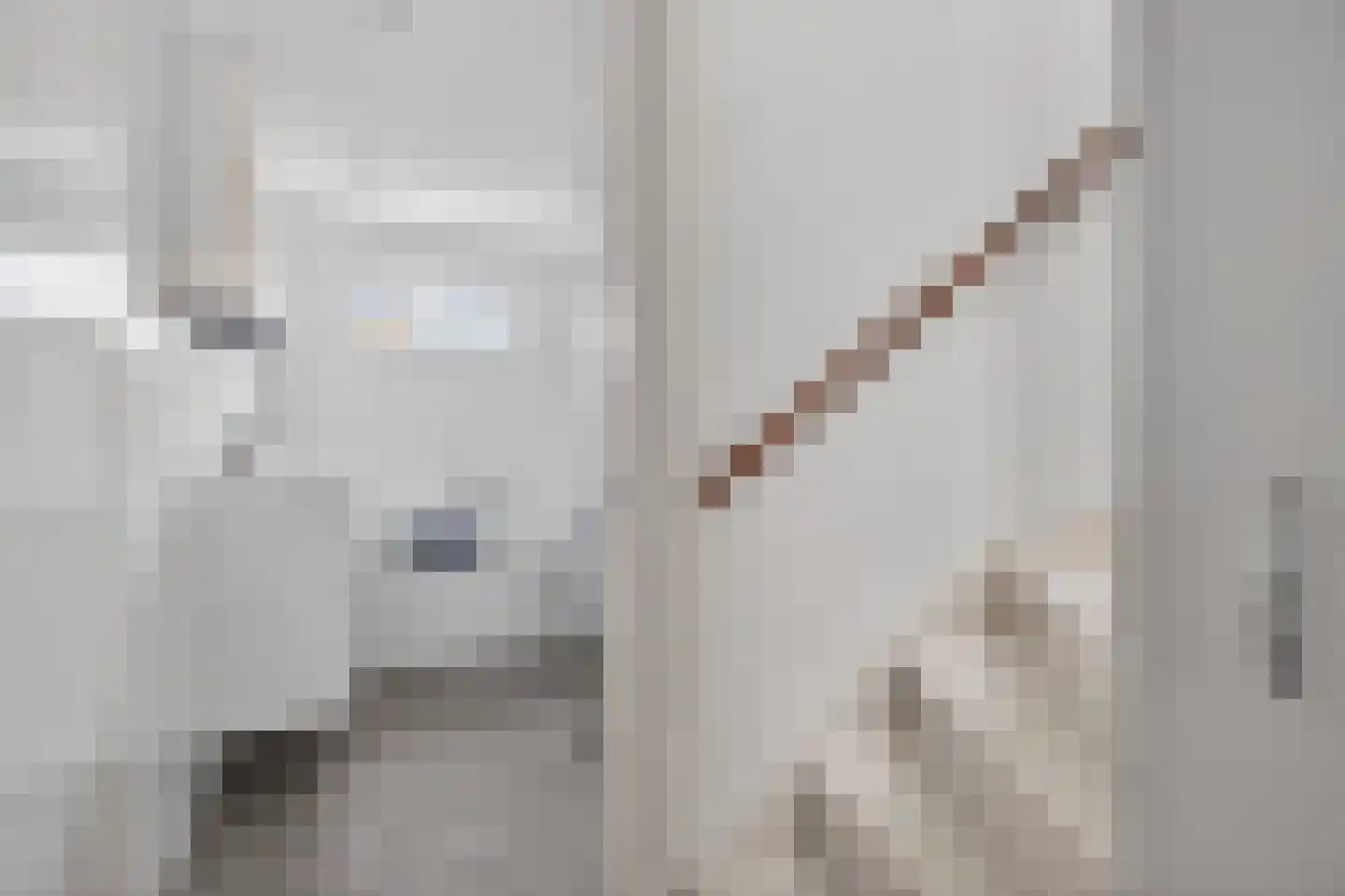 Roopkoper 1 Landsmeer thumbnail 21