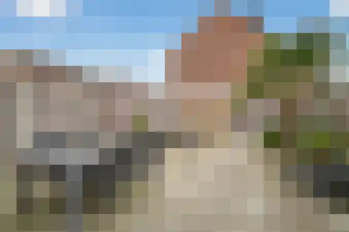 Roopkoper 1 Landsmeer thumbnail 24