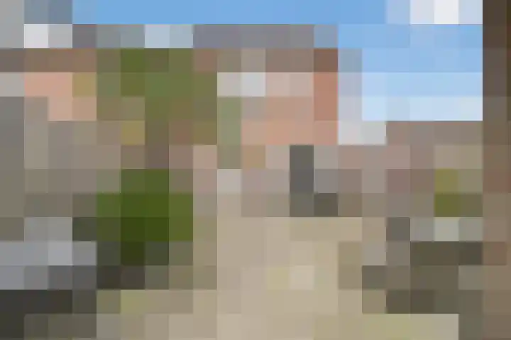Roopkoper 1 Landsmeer thumbnail 25