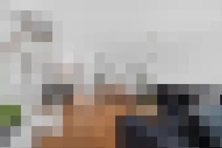 Roopkoper 1 Landsmeer thumbnail 5
